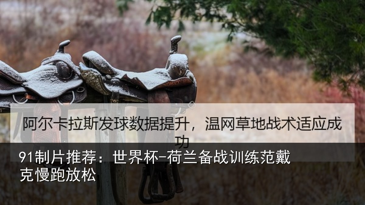 91制片推荐:世界杯-荷兰备战训练范戴克慢跑放松