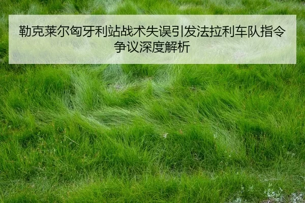 lei-ke-lai-er-xiong-ya-li-zhan-zhan-shu-shi-wu-yin-fa-fa-la-li-che-dui-zhi-ling-zheng-yi-shen-du-jie-xi-2-455.jpg